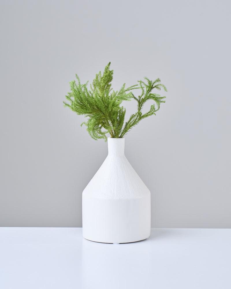 青々とした姿が美しい。小さなグリーン