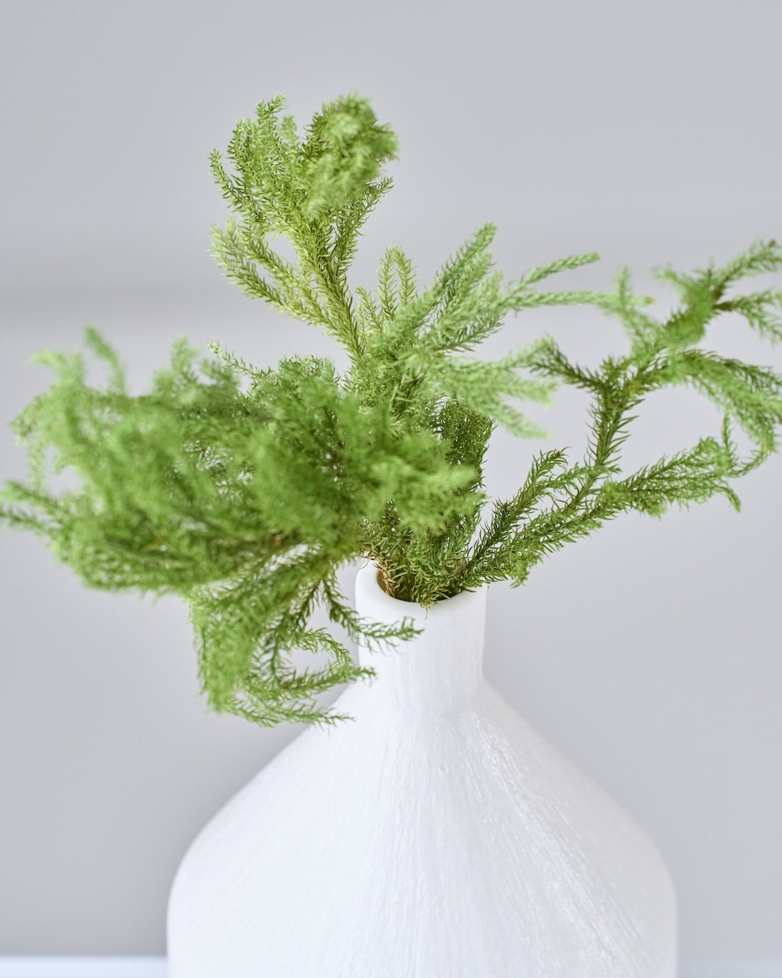 ［ドライフラワー］ヒカゲ立ちカズラ  ショート