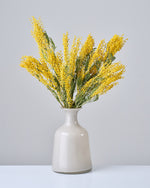 ［ドライフラワー］ミモザ（フサアカシア）