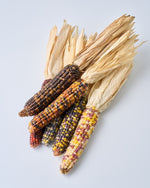 ［ドライフラワー］オーロラコーン 2本セット