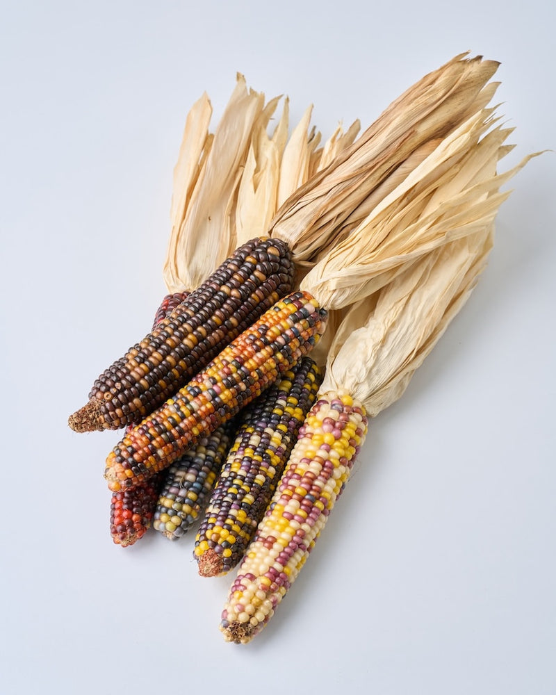 お部屋のディスプレイに