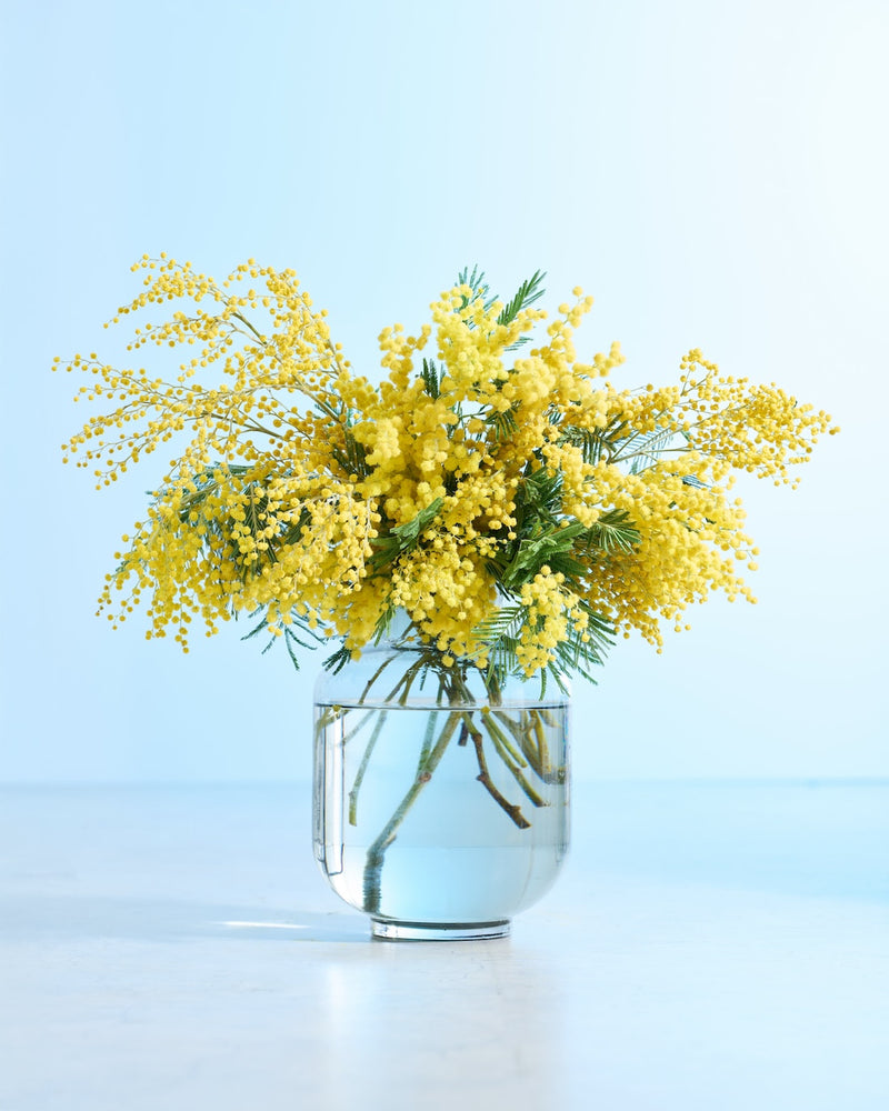 爽やかなガラスベースが相性◎