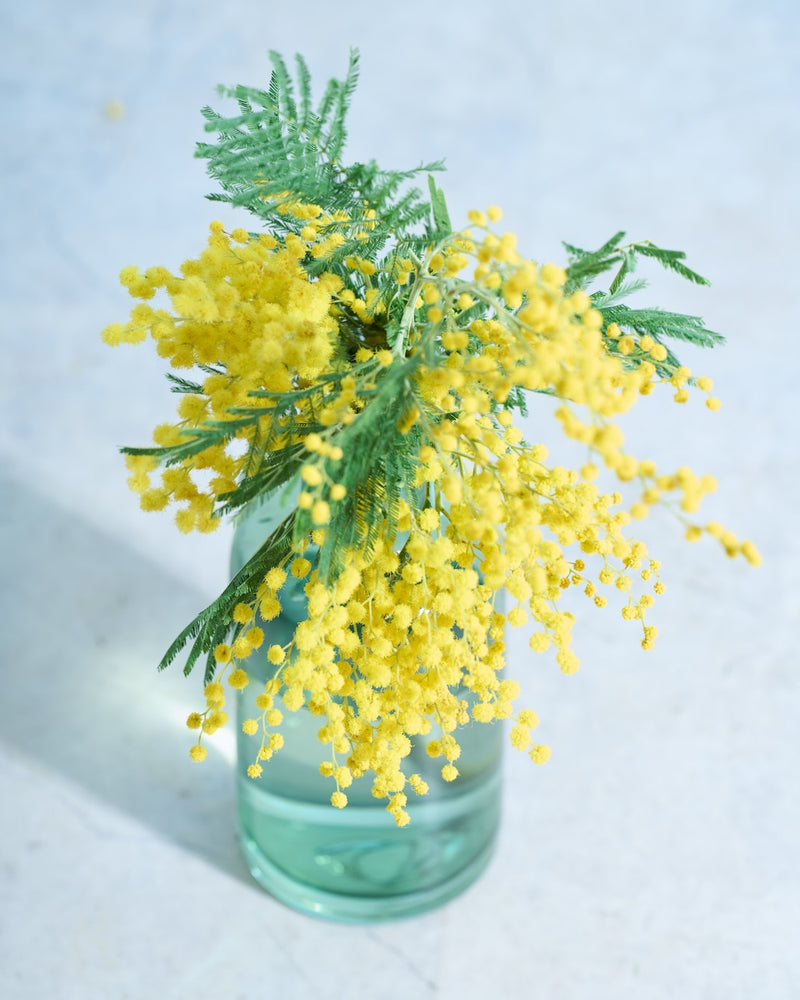 美しい状態でドライにするには