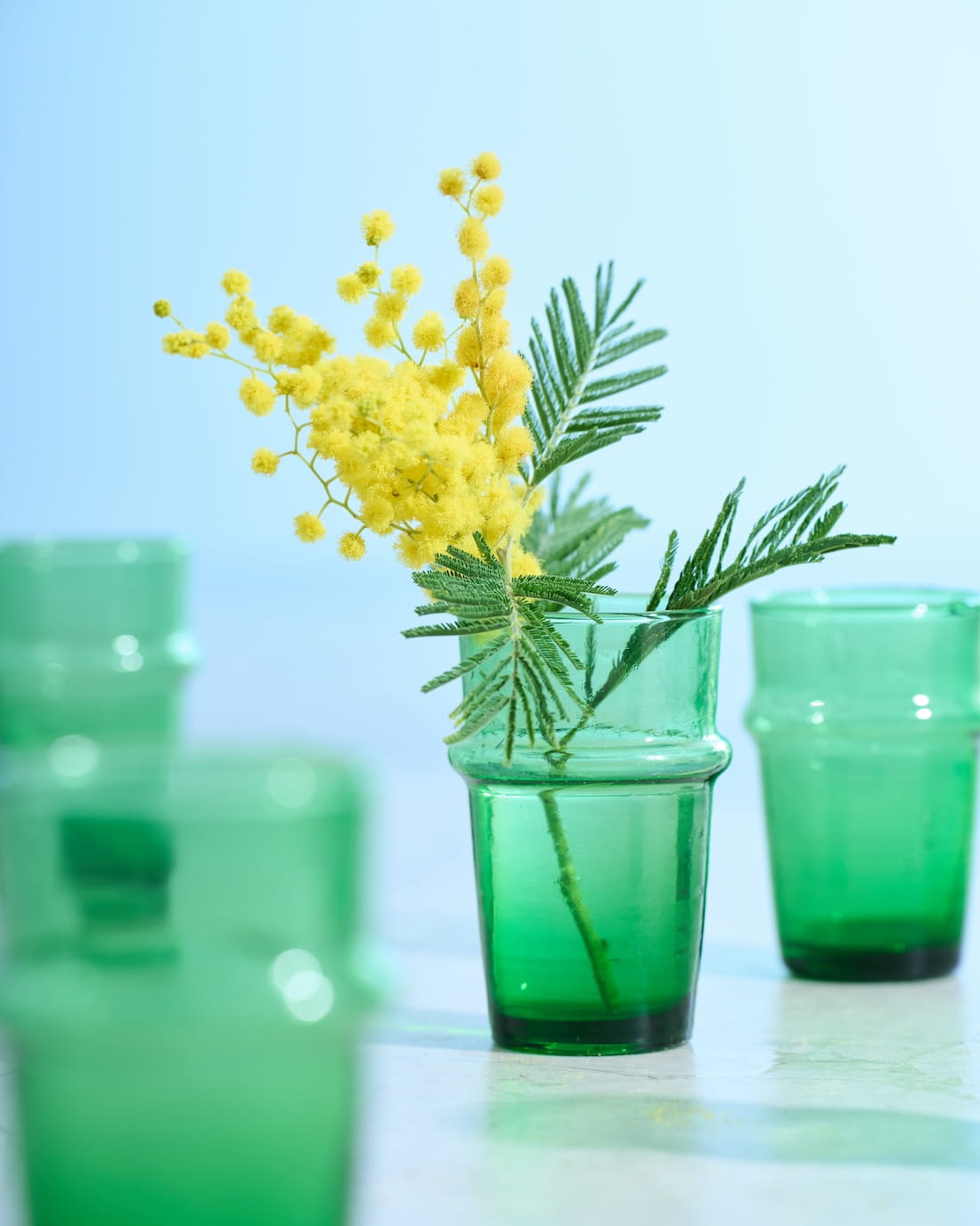 【今季終了】［フレッシュフラワー］ミモザ（フサアカシア）