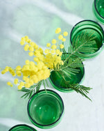 【今季終了】［フレッシュフラワー］ミモザ（フサアカシア）