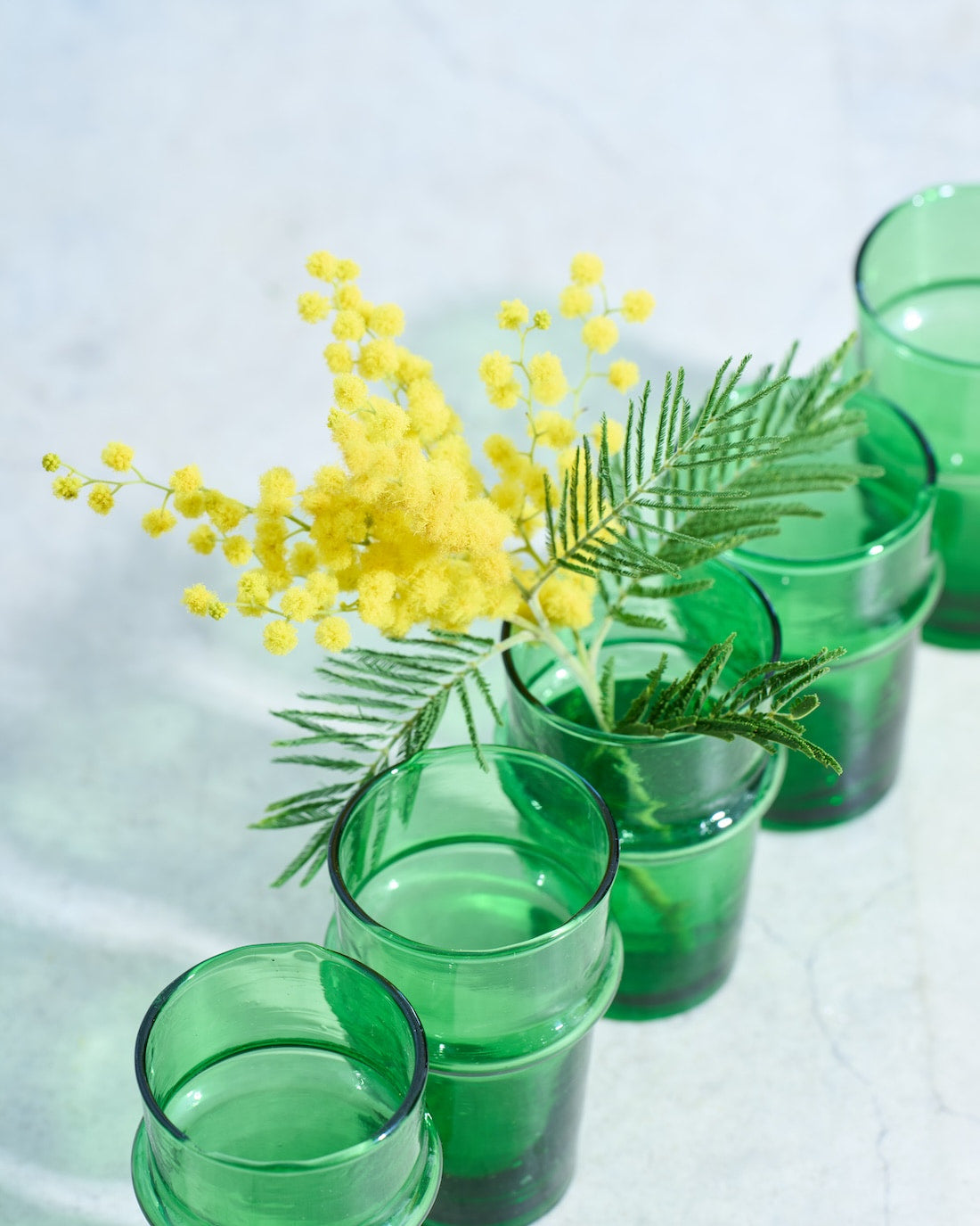 【今季終了】［フレッシュフラワー］ミモザ（フサアカシア）