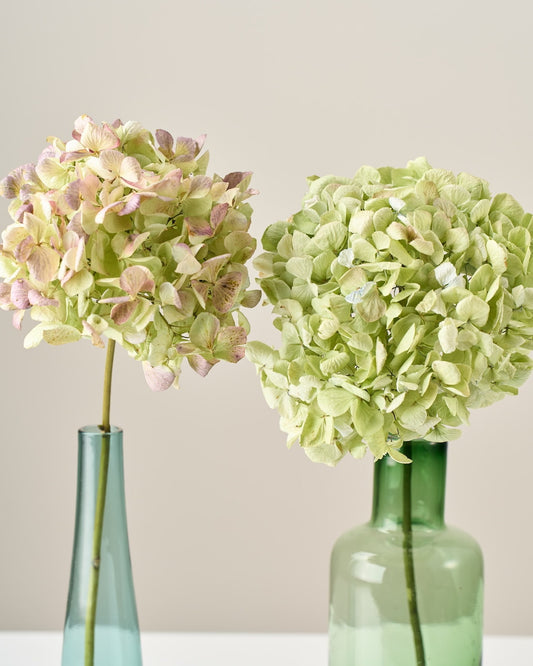 ［ドライフラワー］紫陽花 アンティークグリーン