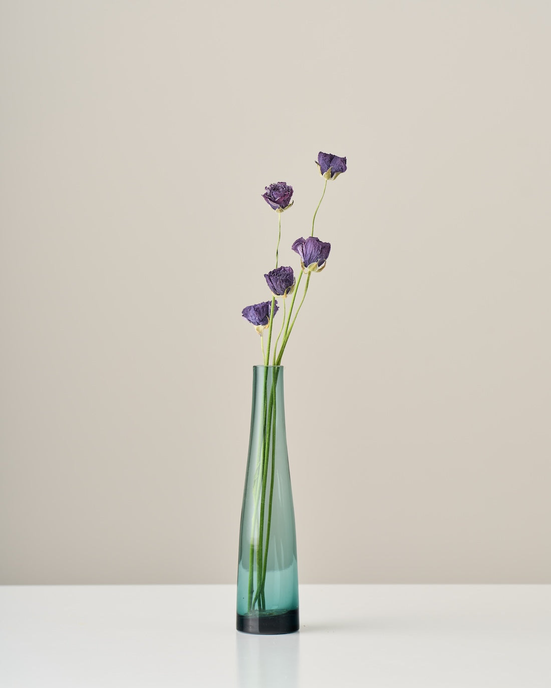 ドライフラワー］ラナンキュラス 商品ページ - 土と風の植物園