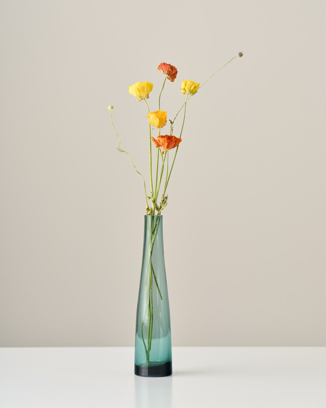 ドライフラワー］ラナンキュラス 商品ページ - 土と風の植物園