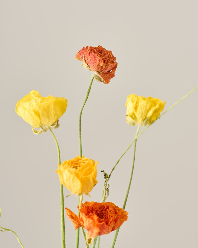 春待つ心を楽しんで