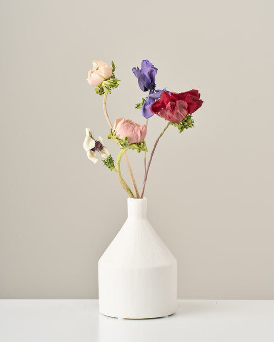 ［ドライフラワー］アネモネ