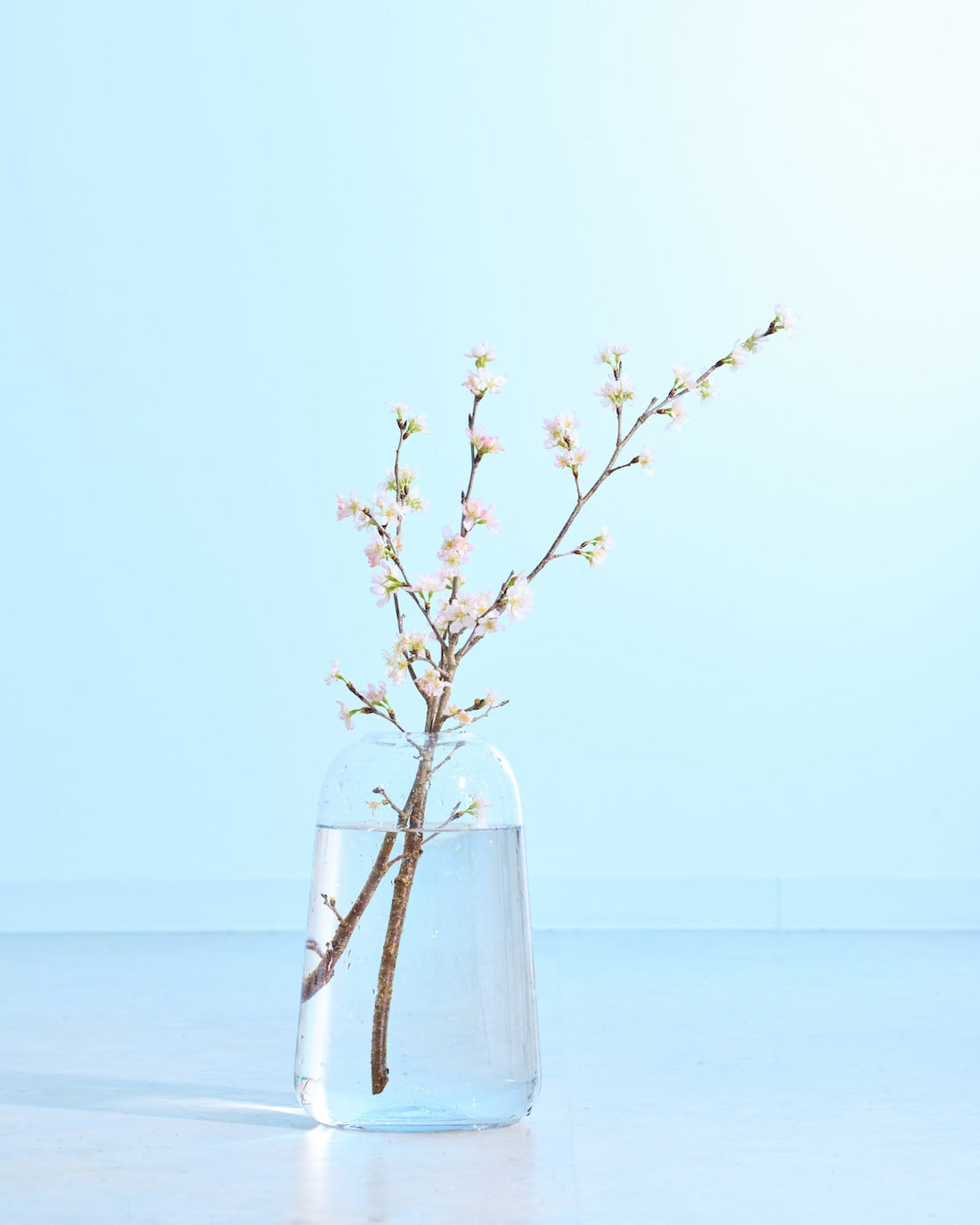 フラワーベース］ DOMU ガラスベース 商品ページ - 土と風の植物園