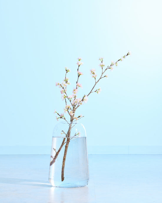 ［フレッシュフラワー］花開く姿を楽しめる啓翁桜