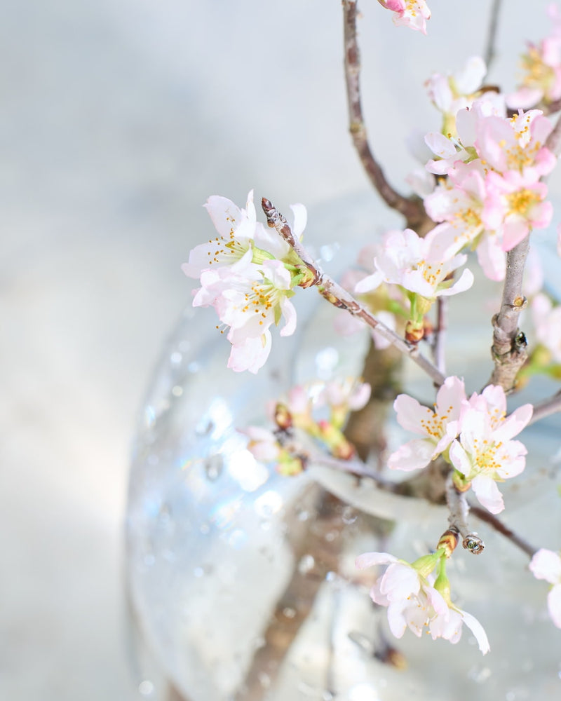 飾り方・長持ちのポイント