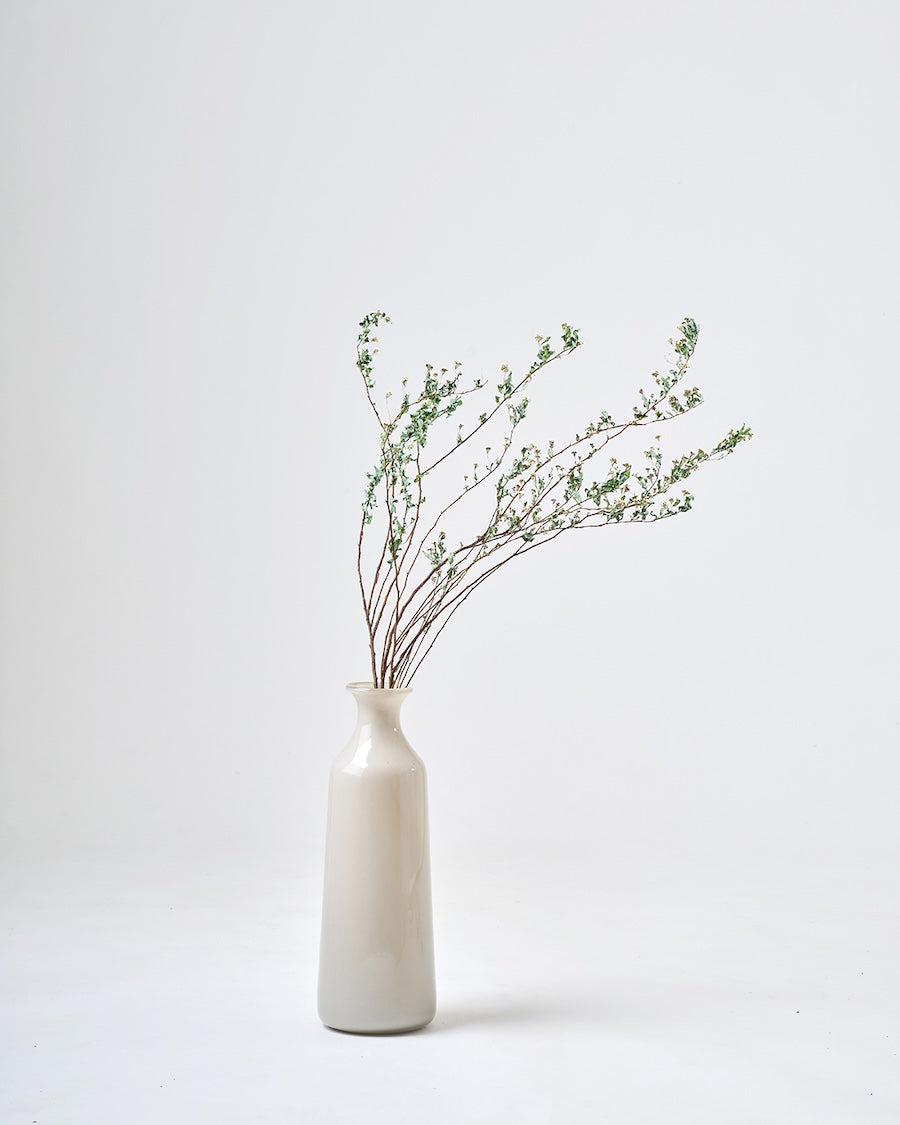 ［BIGボタニカル｜ドライ］コデマリ