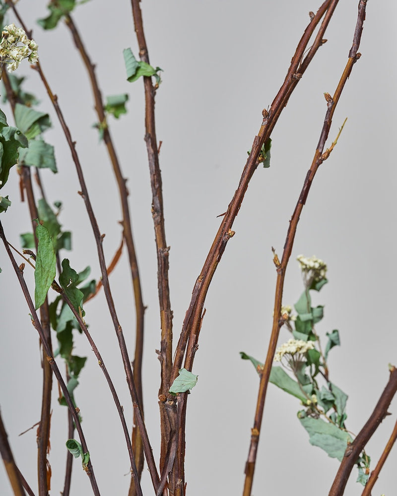 ナチュラルな佇まいの、春の枝もの