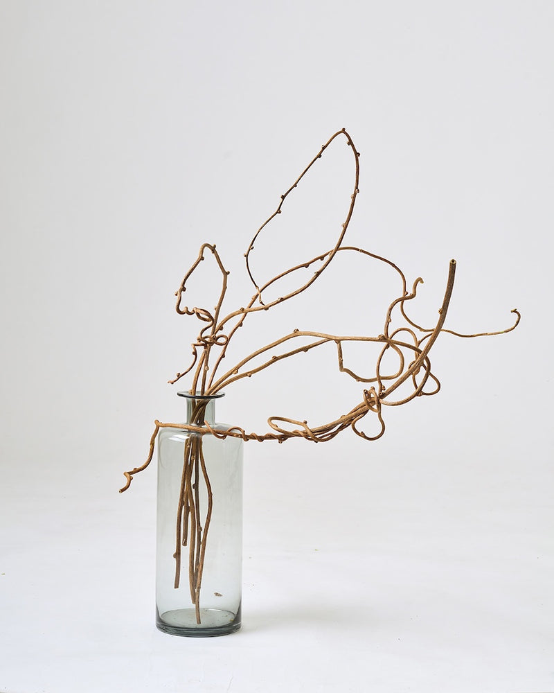 インテリアの主役やお店の装飾に