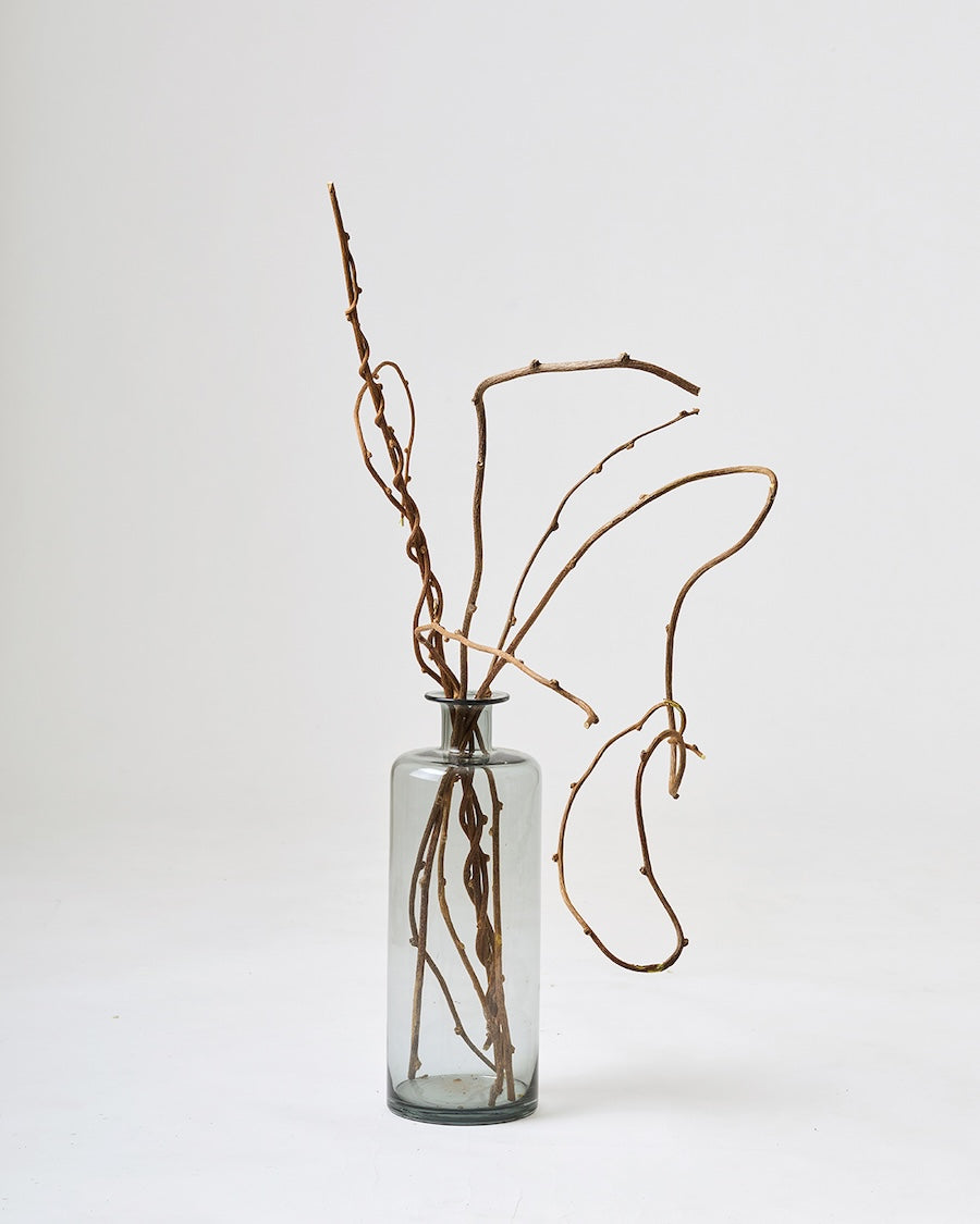 ［BIGボタニカル｜ドライ］キウイのつる