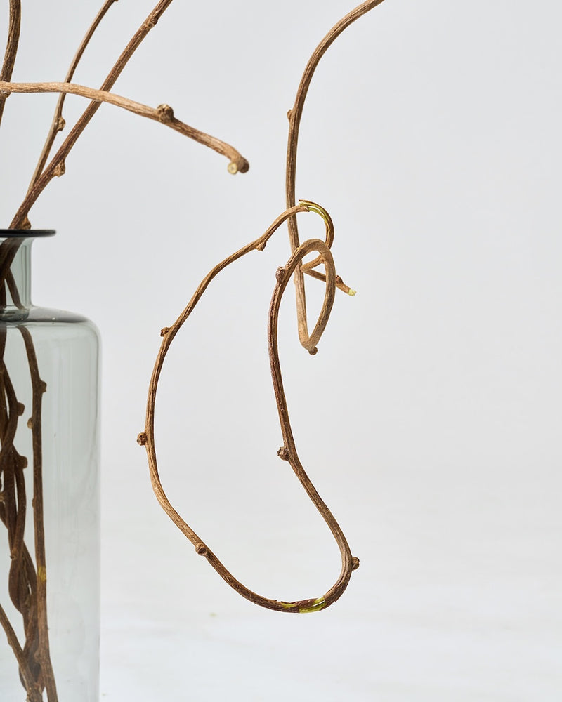 BIGボタニカルをお届けする理由