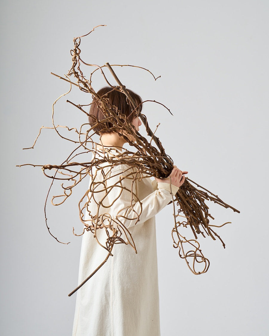 ［BIGボタニカル｜ドライ］キウイのつる