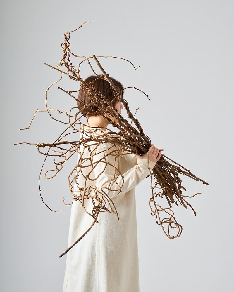 ユニークなキウイの蔓をBIGサイズで楽しもう