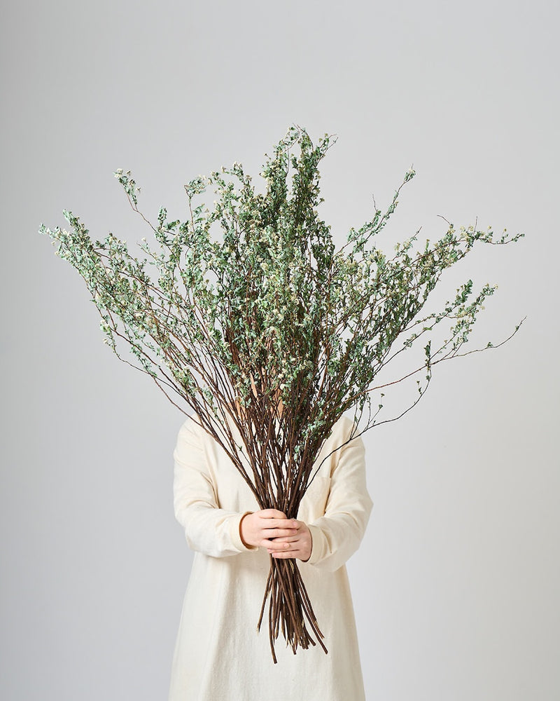 まとめ買いでお得に