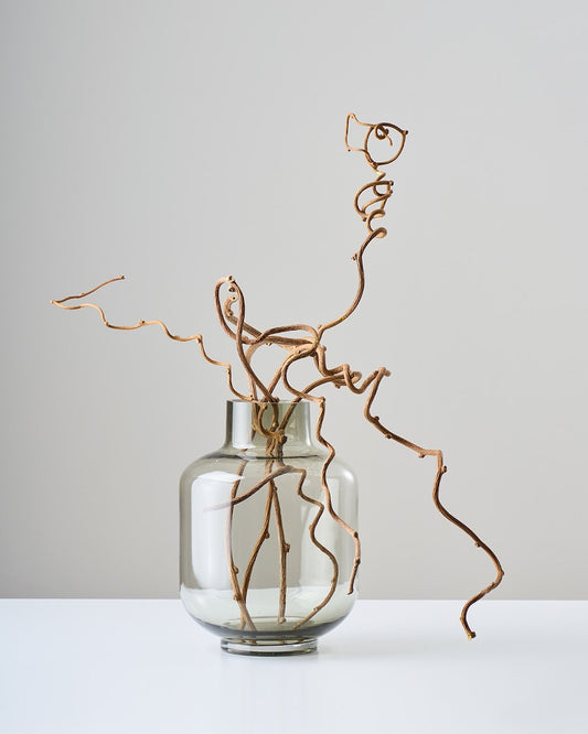 ［ドライフラワー］キウイのつる