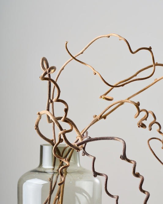 ［ドライフラワー］キウイのつる