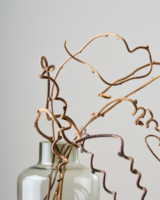 ［ドライフラワー］キウイのつる