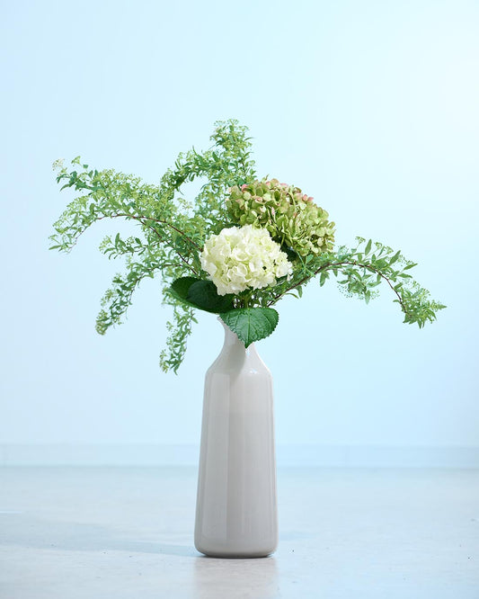 フレッシュからドライへ。育てるスワッグ［こだわりセット］