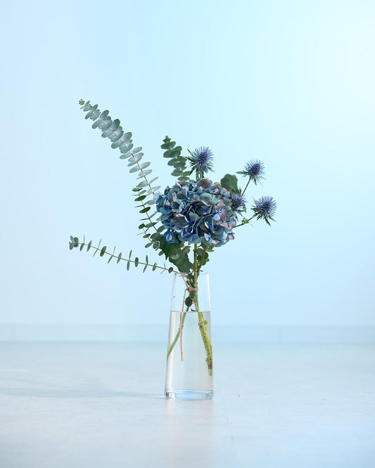 フレッシュからドライへ。育てるスワッグ［はじめてセット］