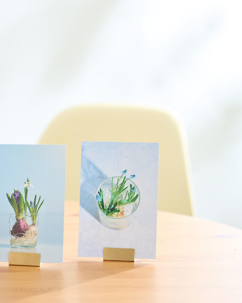 ポストカードスタンドもぜひご一緒に