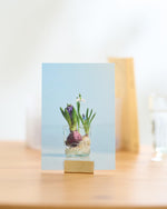 ［雑貨］ポストカードスタンド