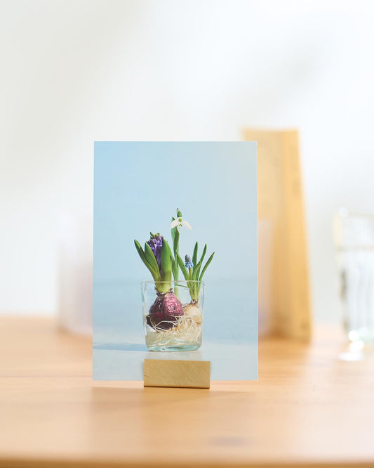 ［雑貨］ポストカードスタンド