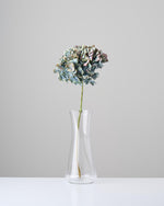 ［ドライフラワー］マジックアワーに染まる紫陽花