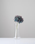 ［ドライフラワー］マジックアワーに染まる紫陽花