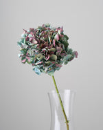 ［ドライフラワー］マジックアワーに染まる紫陽花