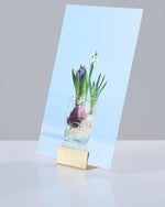 ［雑貨］ポストカードスタンド