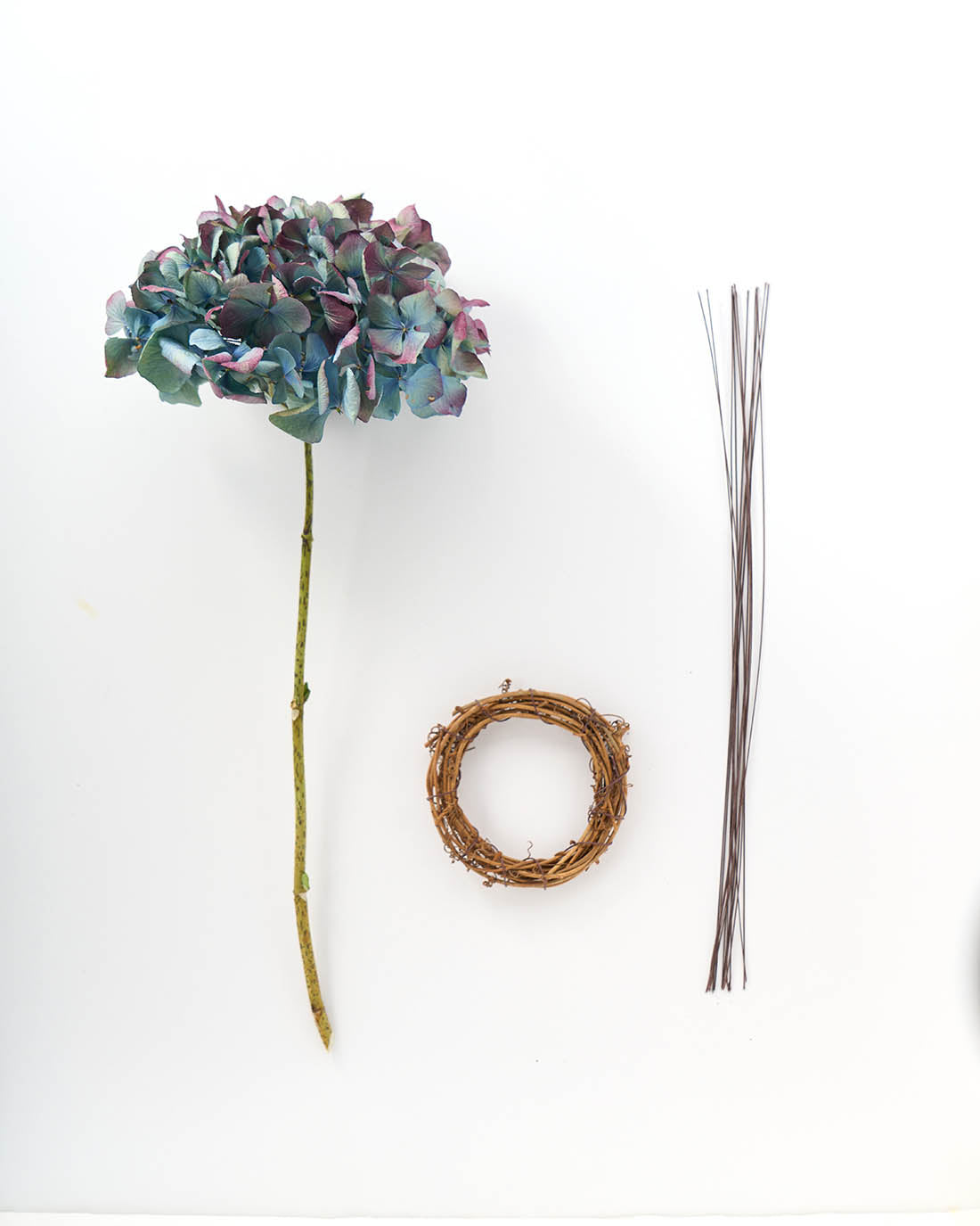 マジックアワー＞紫陽花のミニリース 商品ページ - 土と風の植物園
