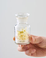 季節の彩りを閉じ込めた、ヒヤシンスの植物標本