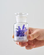 季節の彩りを閉じ込めた、ヒヤシンスの植物標本