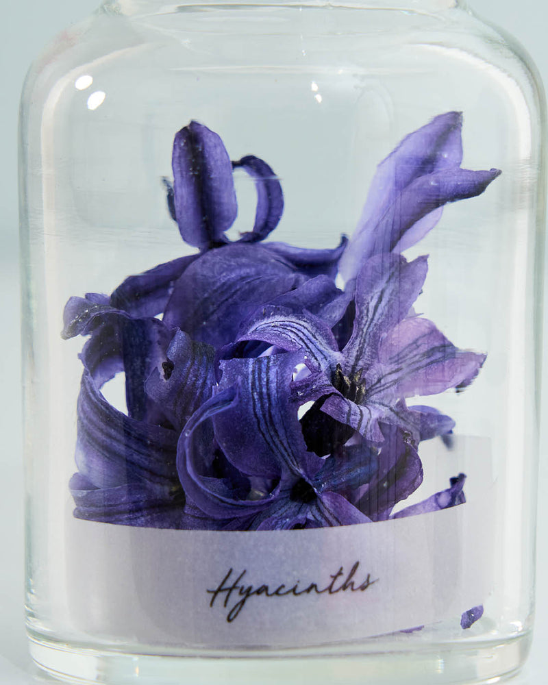 心の機微に寄り添う、鮮やかな色彩