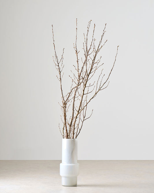 ［BIGボタニカル｜ドライ］桜の枝