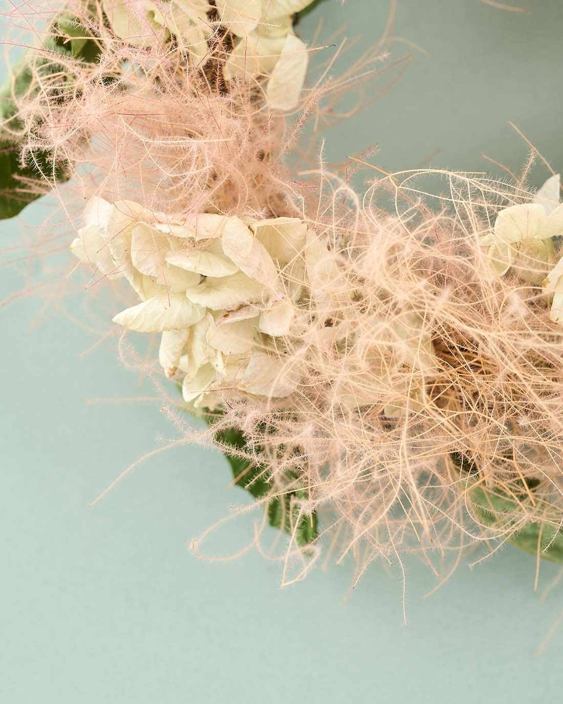 初夏の花霞＞スモークツリーと紫陽花のミニリース 商品ページ - 土と風