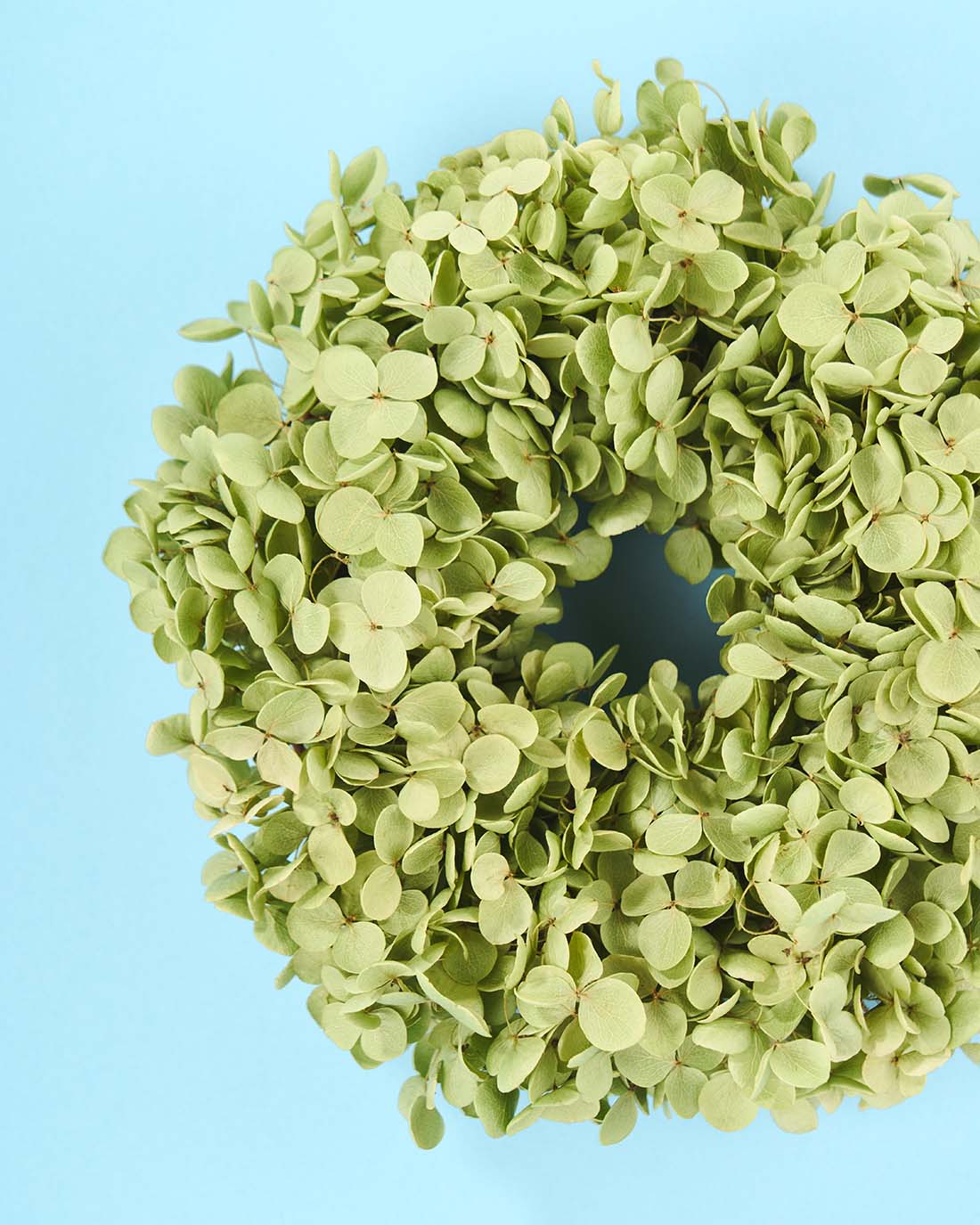 アナベル紫陽花　花畑リース ひたむき＞紫陽花アナベルのリース 商品ページ - 土と風の植物園