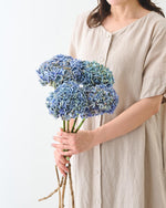 【8/31まで15％OFF】［ドライフラワー］紫陽花  西安 アンティークブルー＜クロダナーセリー＞