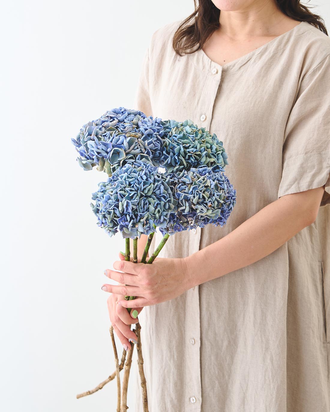 【8/31まで15％OFF】［ドライフラワー］紫陽花  西安 アンティークブルー＜クロダナーセリー＞