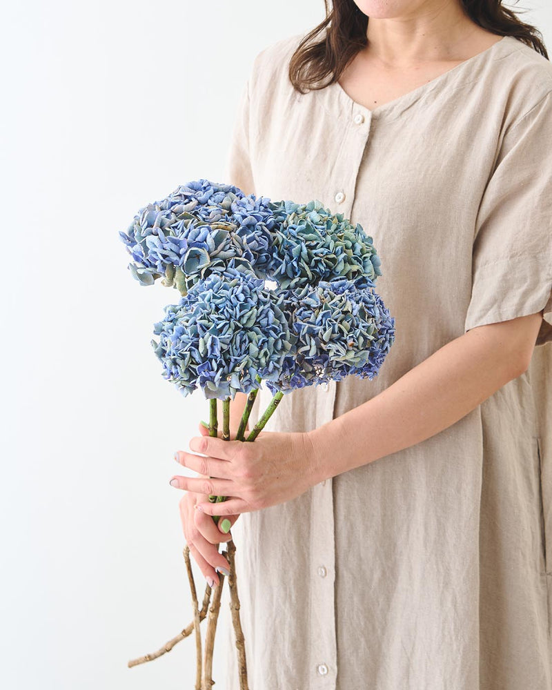 ひとつひとつ異なる、紫陽花の個性をお楽しみください