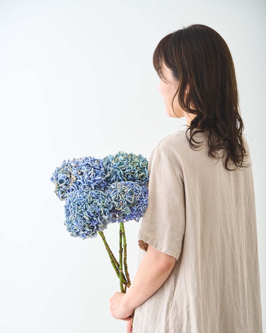 【8/31まで15％OFF】［ドライフラワー］紫陽花  西安 アンティークブルー＜クロダナーセリー＞
