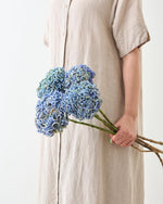 【8/31まで15％OFF】［ドライフラワー］紫陽花  西安 アンティークブルー＜クロダナーセリー＞